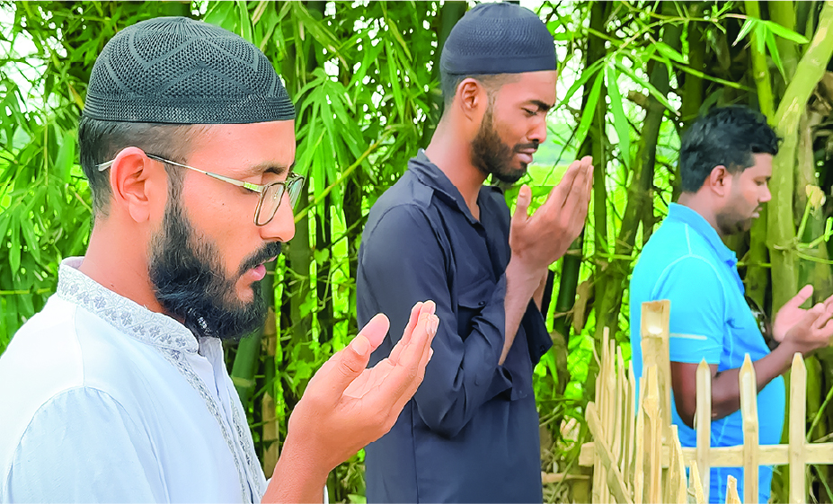Image of মো: রাকিবুল হাসান রকি